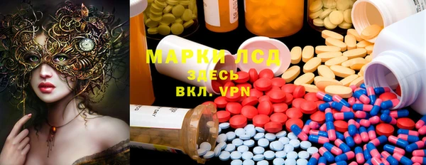 ГАЛЛЮЦИНОГЕННЫЕ ГРИБЫ Армянск