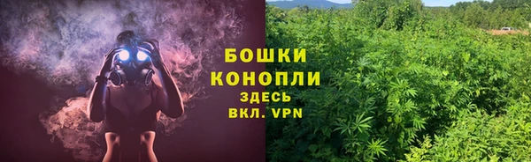 spice Баксан