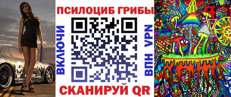 Псилоцибиновые грибы мицелий цены наркотик Оса