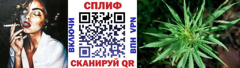 дарнет шоп  Оса  Каннабис планчик 